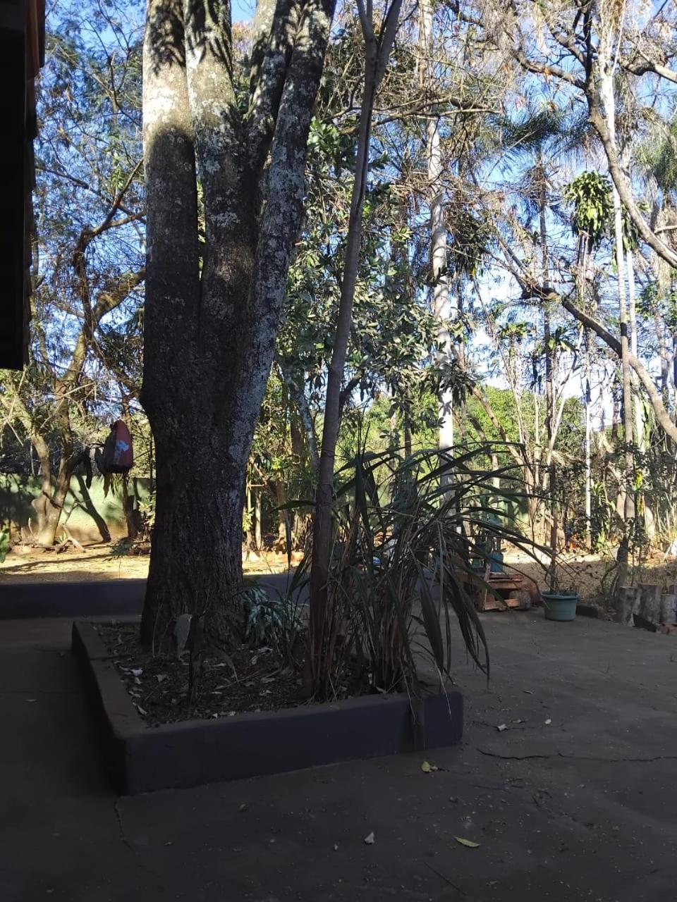 Sitio Bemtevi - Jockey Camping - Uberlandia Villa Esterno foto